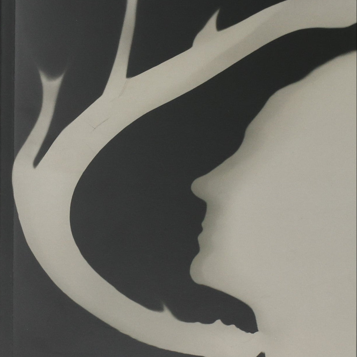 Len Lye Shadowgraphs