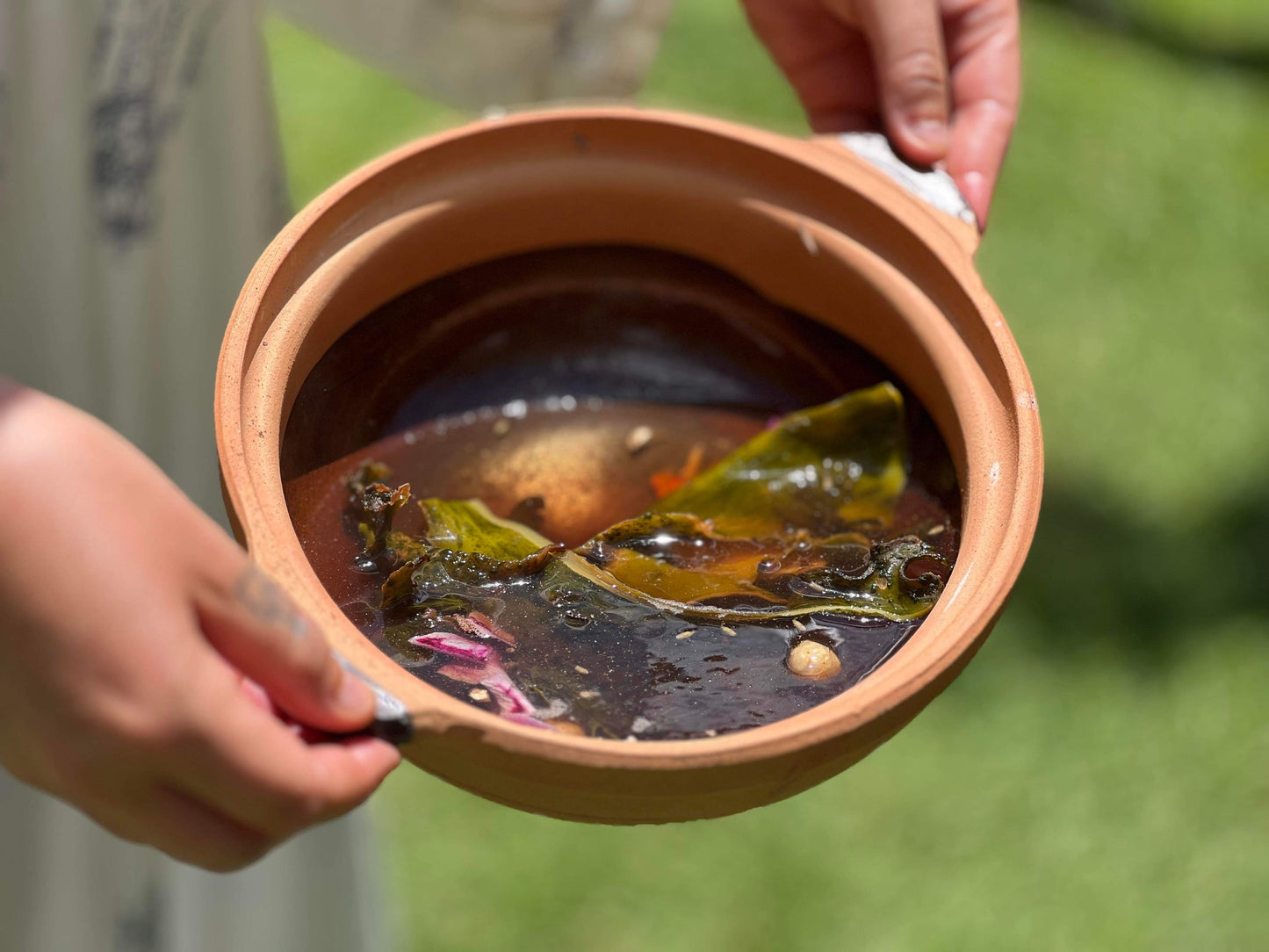 Composing with Decomposition: a fermentation series after Yuko Mohri - June