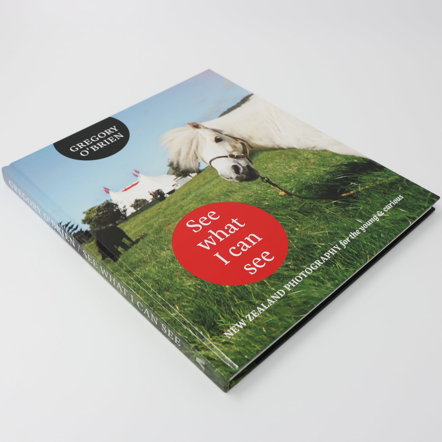 See What I can See: New Zealand Photography for the Young & Curious