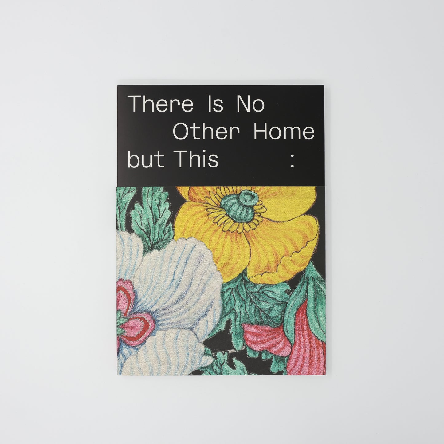 Areez Katki and Khadim Ali: There is no other home but this