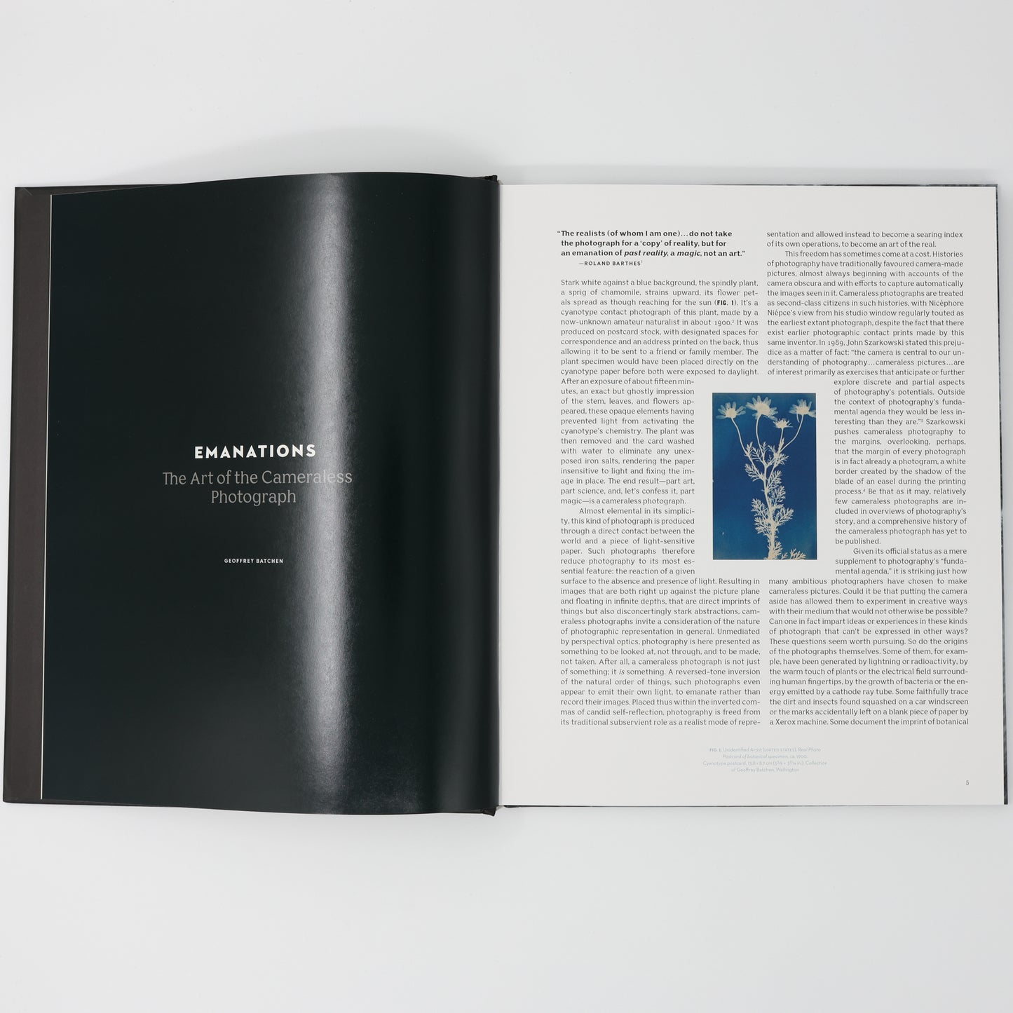 Emanations: The Art of Cameraless Photography