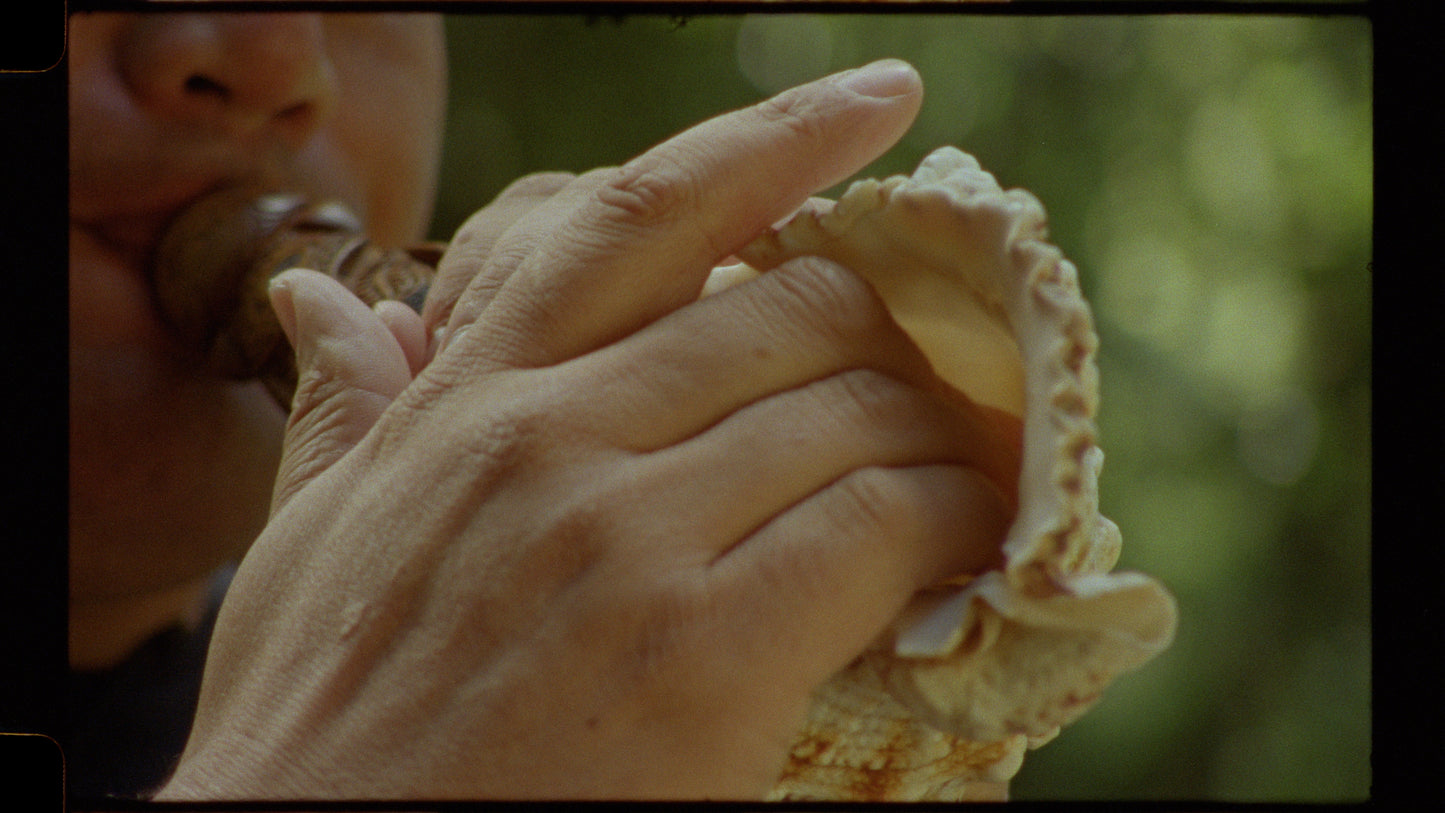 Sirening (as a verb): Aotearoa chapter | conversation and performance