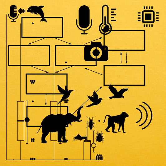 Environmentality a lecture-performance by Machine Listening